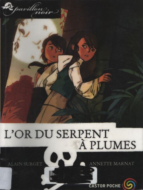 Pavillon noir Tome IV : L'or du serpent à plumes - Alain Surget - Livre