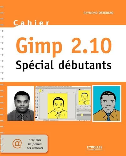 Cahier gimp 2. 10 : Spécial débutants - Raymond Ostertag - Livre