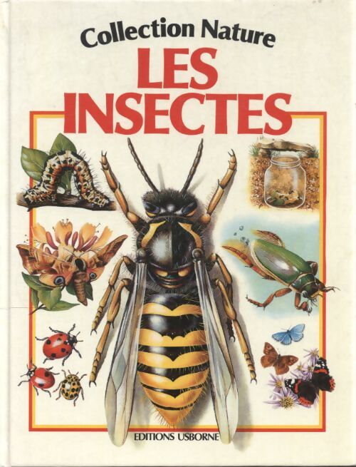 Les insectes - Ruth Brown - Livre