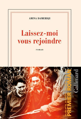 Laissez-moi vous rejoindre - Amina Damerdji - Livre