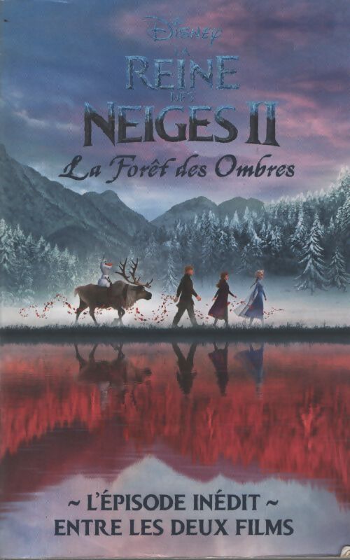 La reine des neiges 2 - la forêt des ombres - l'épisode inédit entre les deux films - Disney - Livre