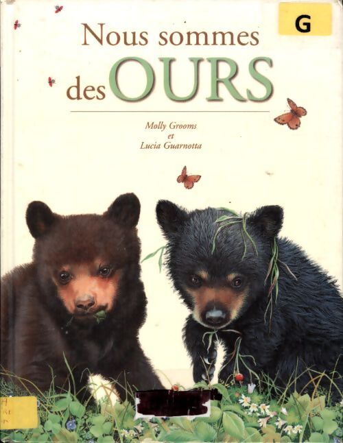 Nous sommes des ours - Molly Grooms - Livre