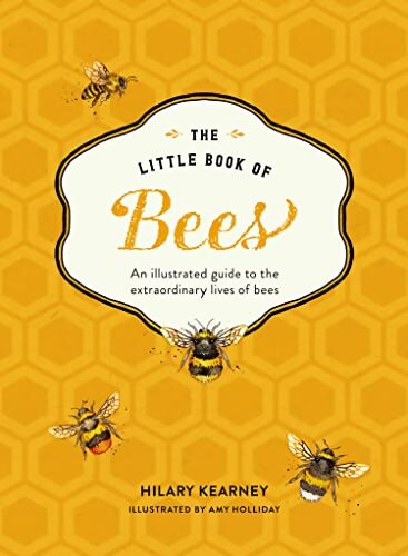 The little book of bees : An illustrated guide to the extraordinary lives of bees - Hilary Kearney - Livre