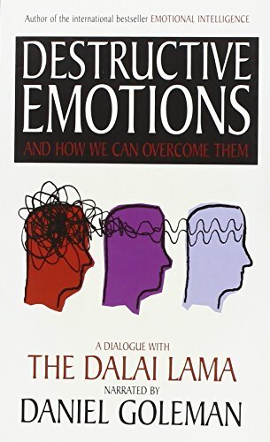 Destructive emotions - Daniel Goleman - Livre