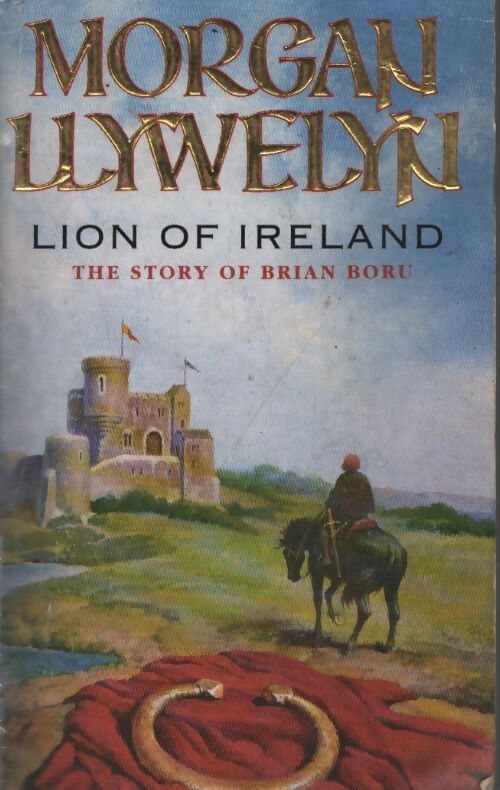 Lion of ireland - Morgan Llywelyn - Livre