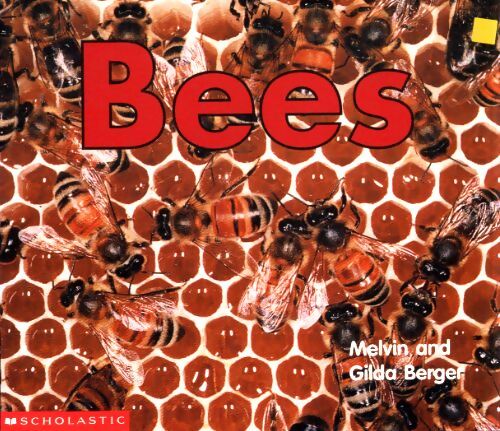 Bees - Gilda Berger - Livre