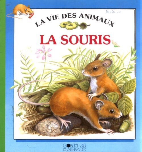 La souris - Inconnu - Livre