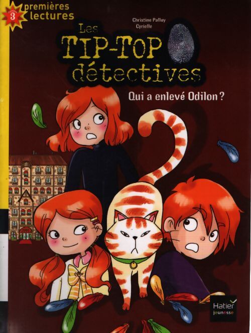 Qui a enlevé odilon ? - Christine Palluy - Livre