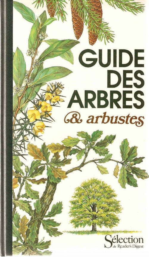 Guide des arbres & arbustes - Collectif - Livre