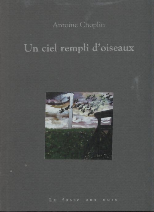 Un ciel rempli d'oiseaux - Antoine Choplin - Livre