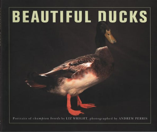 Beautiful ducks - Liz Wright - Livre