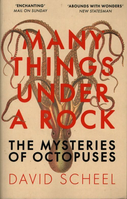 Many things under a rock - David Scheel - Livre
