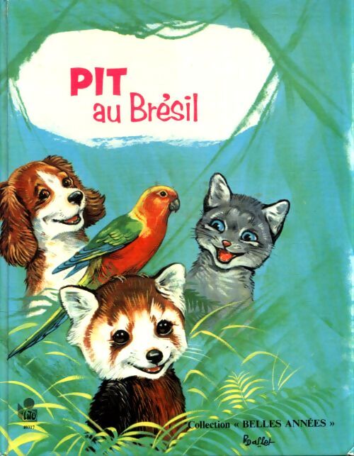 Pitt au Brésil - Robert Dallet - Livre