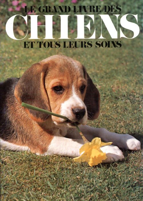 Le grand livre des chiens et tous leurs soins - Collectif - Livre
