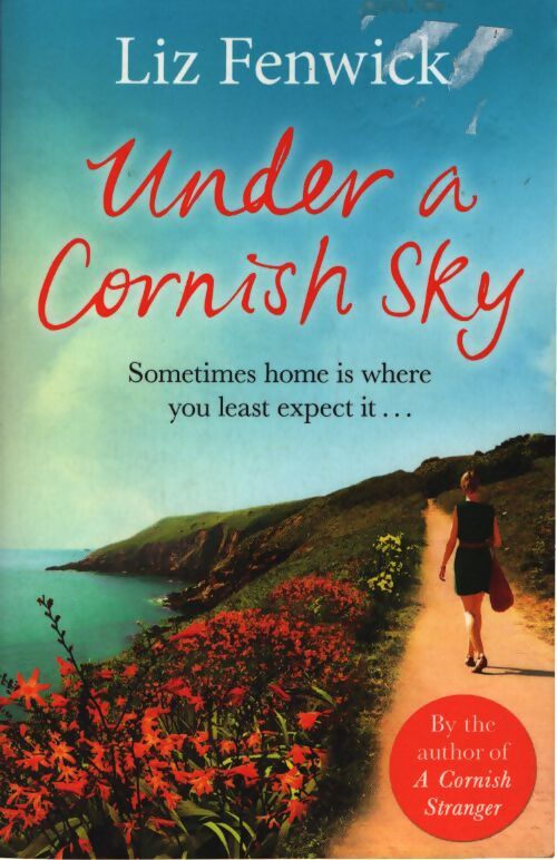 Under a cornish sky - Liz Fenwick - Livre