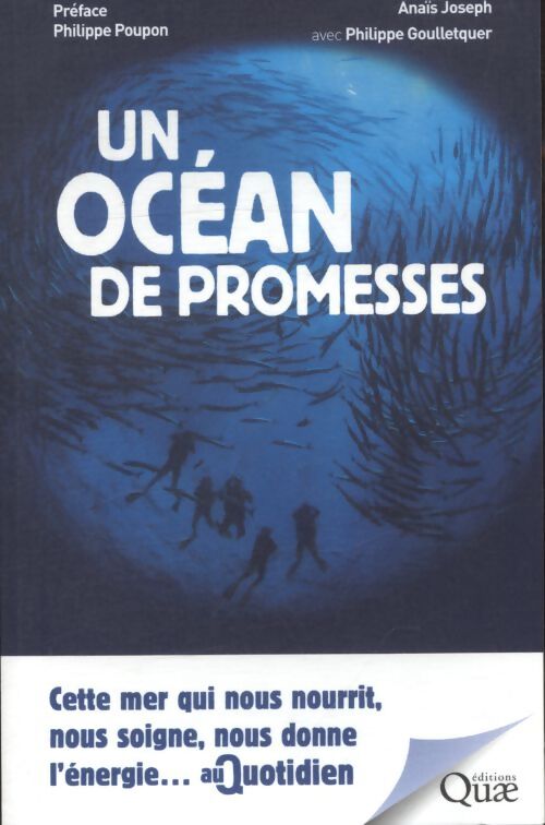 Un océan de promesses : Cette mer qui nous nourrit nous soigne nous fournit l'énergie... Au quotidien. Préface Philippe poupon - Anais Joseph - Livre