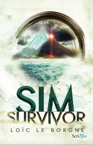 Sim survivor - Loïc Le Borgne - Livre