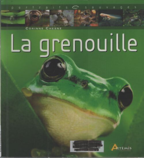 La grenouille - Corinne Chesne - Livre