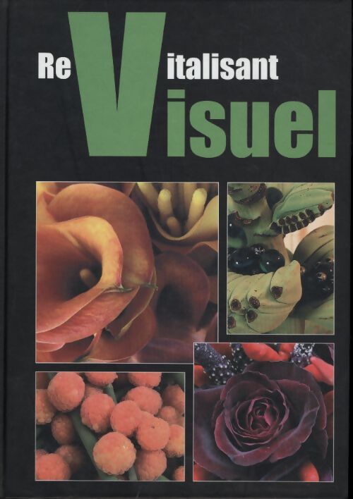 Revitalisant visuel - Jean-François Bouchet Odent - Livre