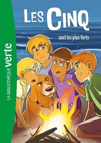 Les Cinq 22 NED - Les Cinq sont les plus forts - Claude Voilier - Livre