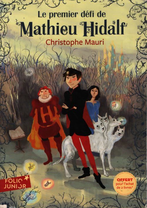 Le premier défi de Mathieu Hidalf - Christophe Mauri - Livre