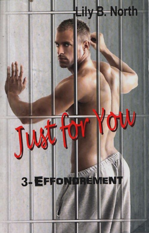 Just for you . Effondrement - Lily B. North - Livre