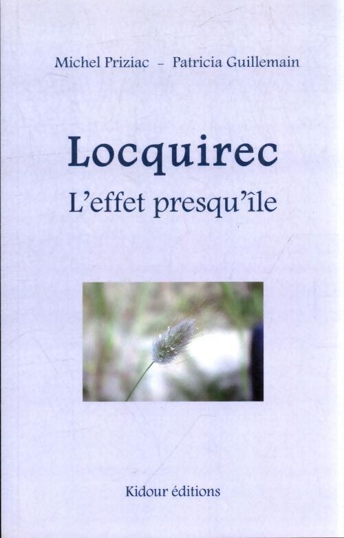 Locquirec l'effet presqu'ile - Michel Priziac - Livre