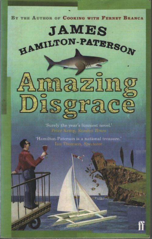 Amazing disgrace - James Hamilton-Paterson - Livre