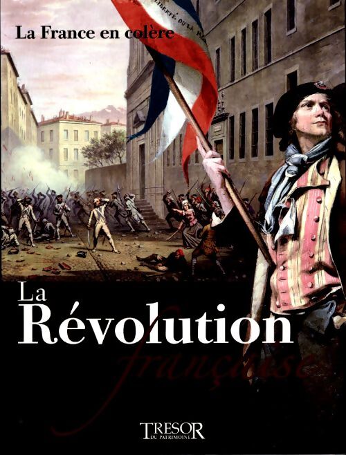La révolution française Tome I : La France en colère - Jacques Demougin - Livre