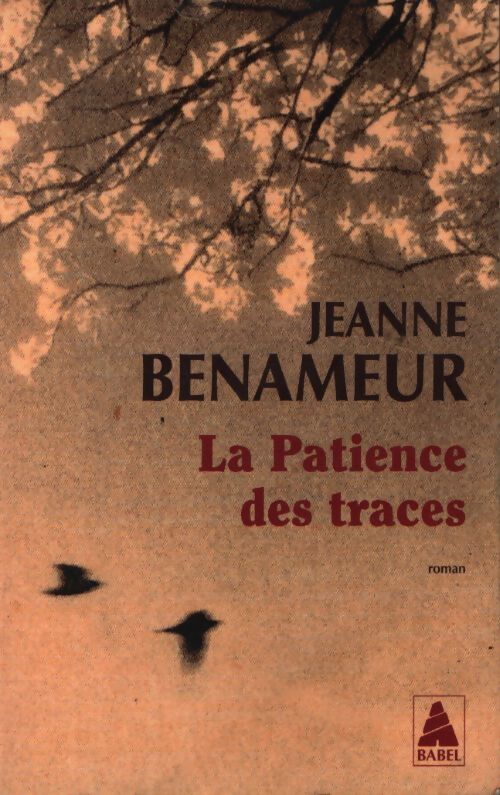 La patience des traces - Jeanne Benameur - Livre