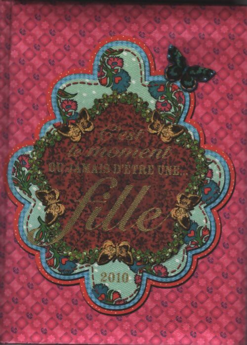 C'est le moment ou jamais d'être une... Fille - Hachette Jeunesse - Livre