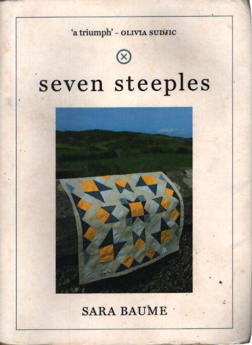 Seven steeples - Sara Baume - Livre