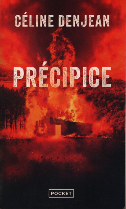 Précipice - Céline Denjean - Livre