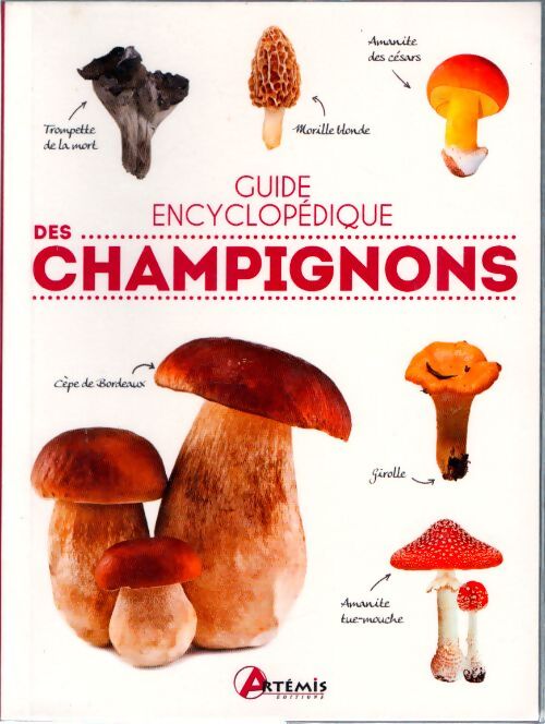 Guide encyclopédique des champignons - Jm Polese - Livre