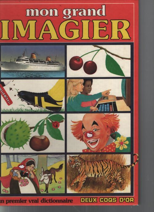 Mon grand imagier - Sue Cassin - Livre