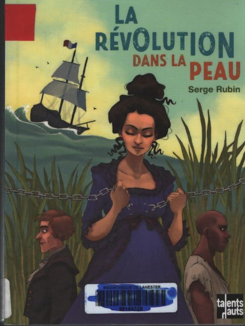 La révolution dans la peau - Serge Rubin - Livre