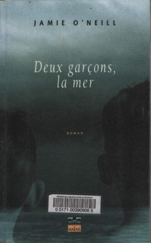 Deux garçons la mer - Jamie O'Neill - Livre