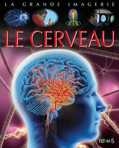 Le cerveau - Collectif - Livre