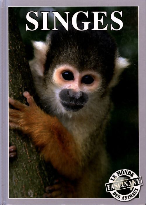 Singes - Geneviève De Becker - Livre