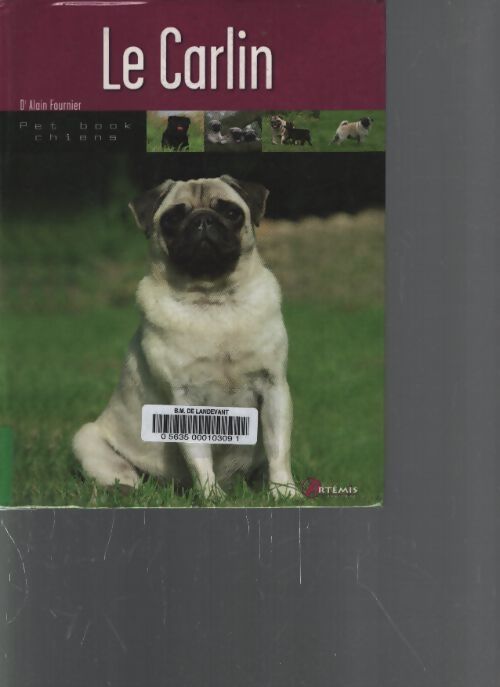 Carlin - Alain Fournier - Livre