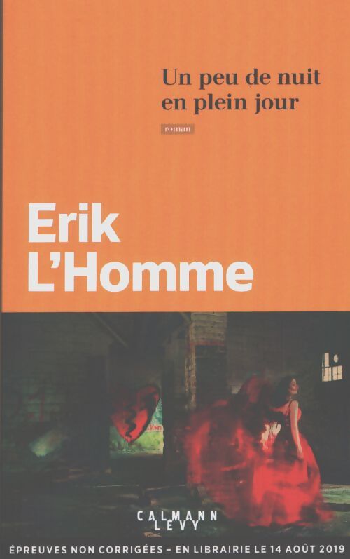 Un peu de nuit en plein jour - Erik L'homme - Livre