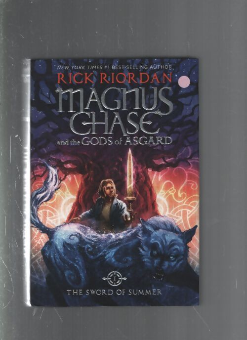 Magnus chase and the gods of asgard book 1 the sword of summer - Rick Riordan - Livre