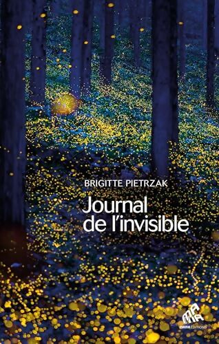 Journal de l'invisible - Brigitte Pietrzak - Livre