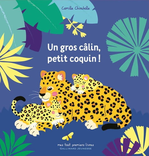 UN GROS CALIN PETIT COQUIN - Camille Chincholle - Livre