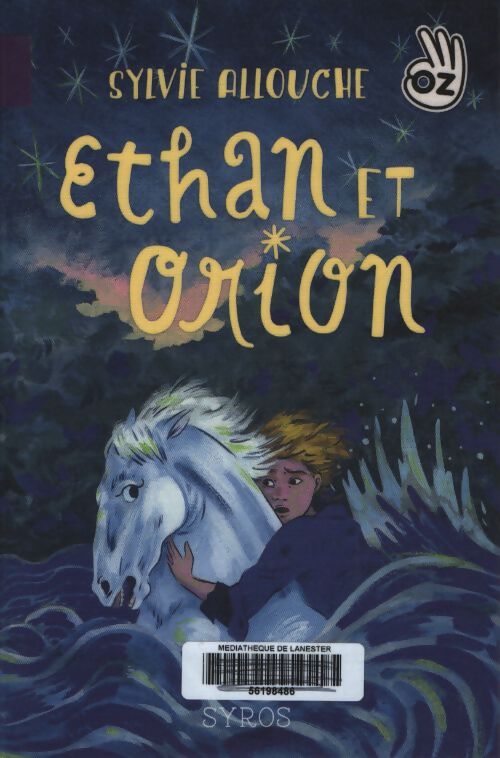 Ethan et orion - Sylvie Allouche - Livre