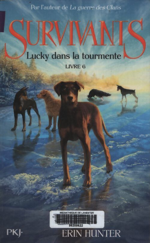 Survivants Tome VI lucky dans la tourmente - Erin Hunter - Livre