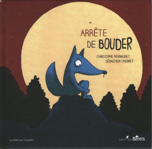 Arrête de bouder - Christophe Pernaudet - Livre