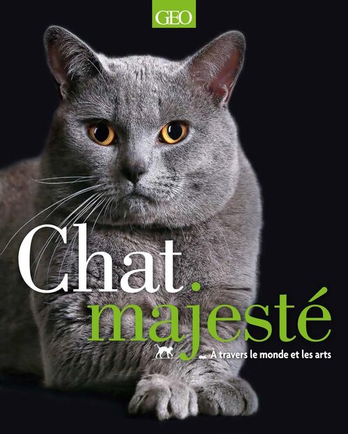 Chat majesté - A travers le monde et les arts - Collectif - Livre