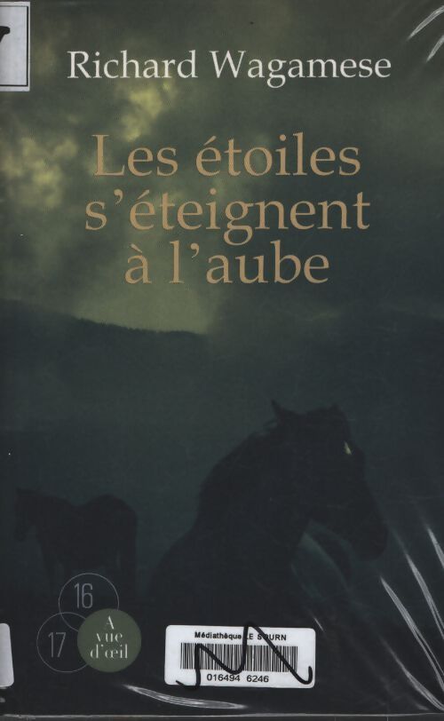 Les étoiles s'éteignent à l'aube - Richard Wagamese - Livre