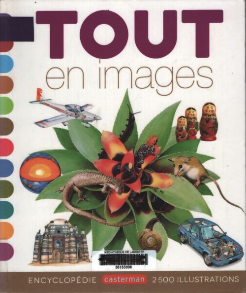 Tout en images - Collectif - Livre